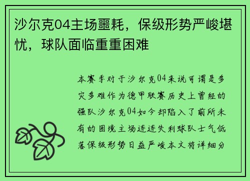 沙尔克04主场噩耗，保级形势严峻堪忧，球队面临重重困难
